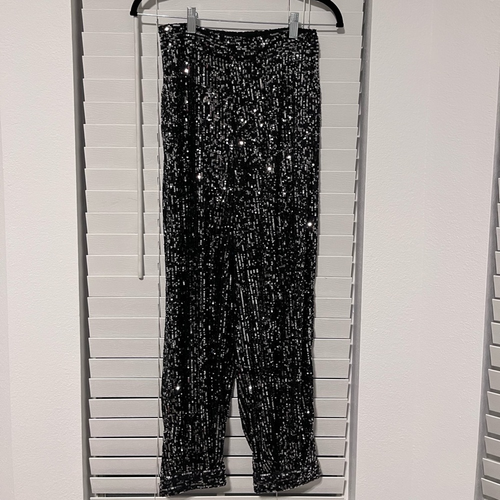 Zara sequin pants